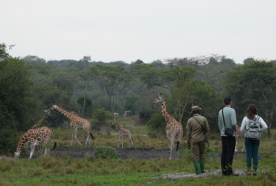 ネーチャーウォーク